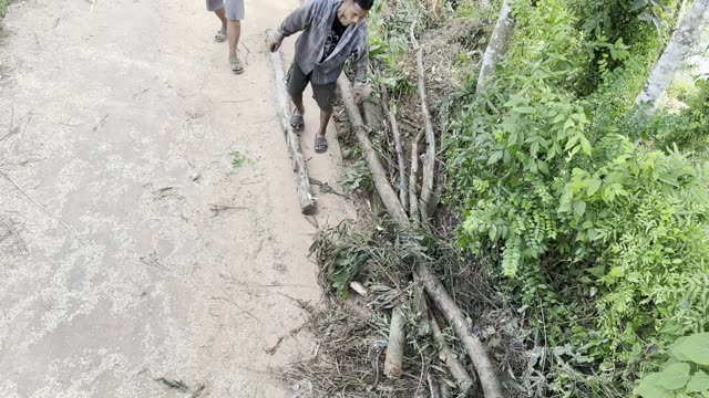 Dragging Branches On Path