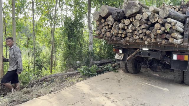 Passing The Log Truck
