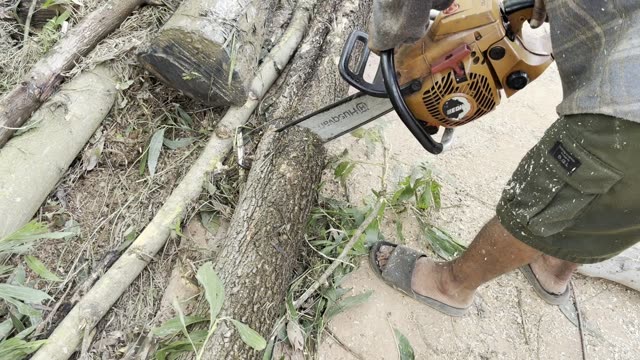 Chainsaw Cuts The Pole
