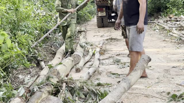 Dragging Logs On Road