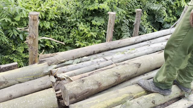 Walking The Log Stack