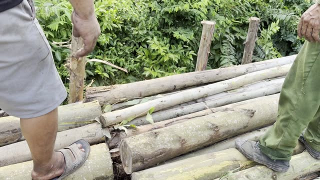 Balancing On The Logs