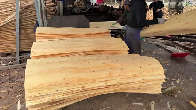 Stacks Of Peeled Veneer