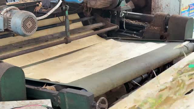 Veneer Peeling Machine Detail