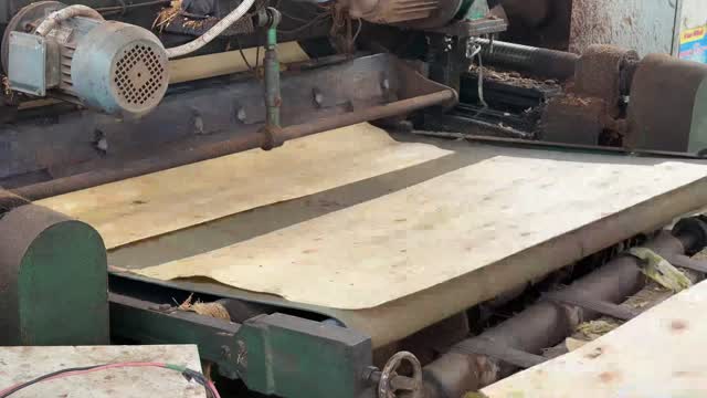 Rotary Veneer Sheet Unwinding