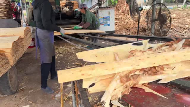 Workers Sorting Timber Planks