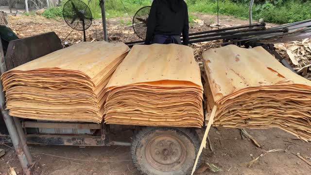 Veneer Bundles Ready For Drying