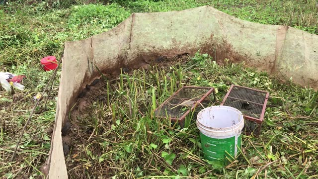 Wire Cages Rest In Net Trap