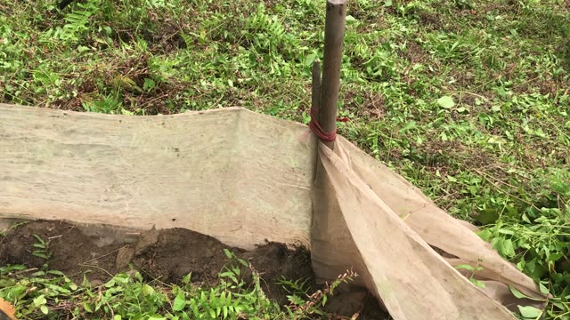 Field Net Staked In Grass