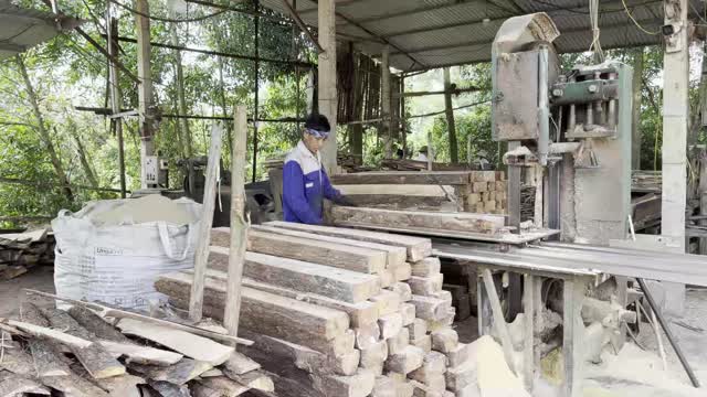 Sawmill Bandsaw With Hills Behind