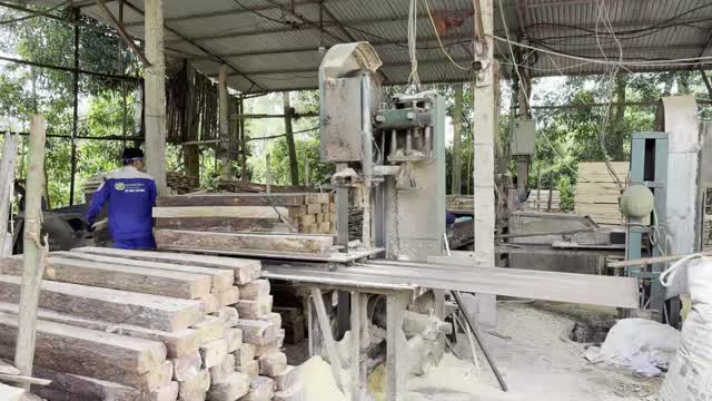 Village Wood Workshop Overview