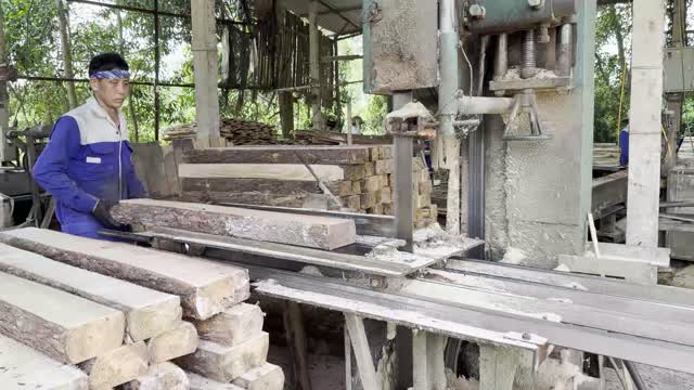Worker Cutting Wood On Bandsaw