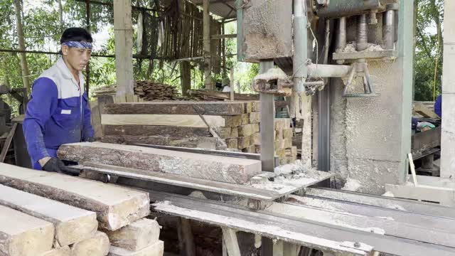 Feeding Plank Through Bandsaw