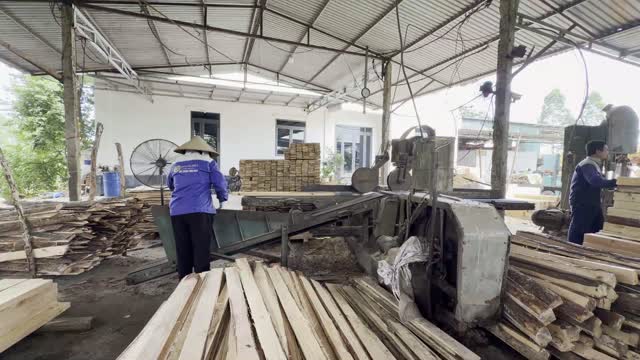 Carrying Plank Near Bandsaw