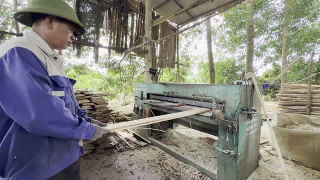 Worker Feeding Resaw Machine
