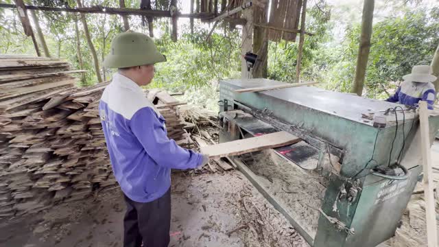 Worker At Timber Resaw Machine