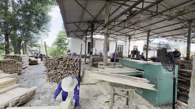 Worker Sorting Wood In Yard
