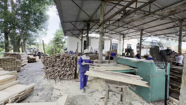 Moving Planks In Sawmill Yard
