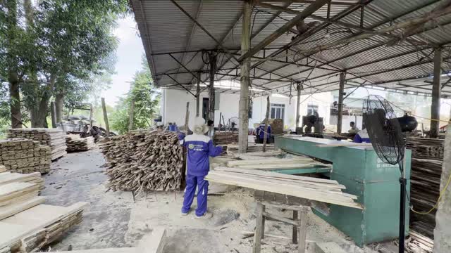 Wide View Of Sawmill Yard