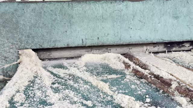 Sawdust On Mill Conveyor