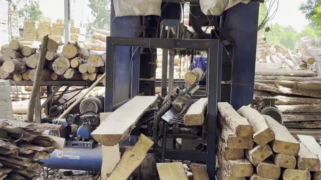 Band Saw Cutting Logs