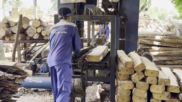 Worker Cutting Timber Plank