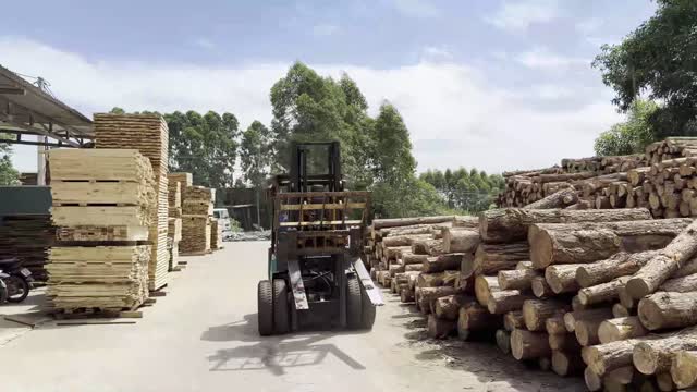 Forklift Carrying Timber Planks