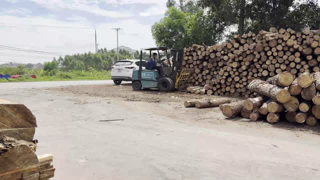 Forklift By Roadside Log Piles