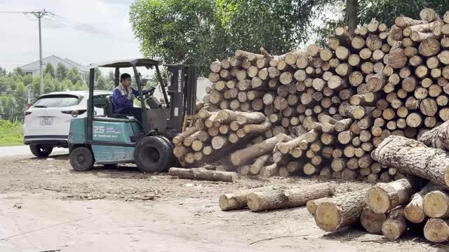 Forklift Loading Logs