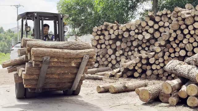 Forklift Moving Log Bundle