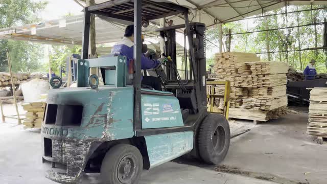 Timber Yard With Plank Stacks