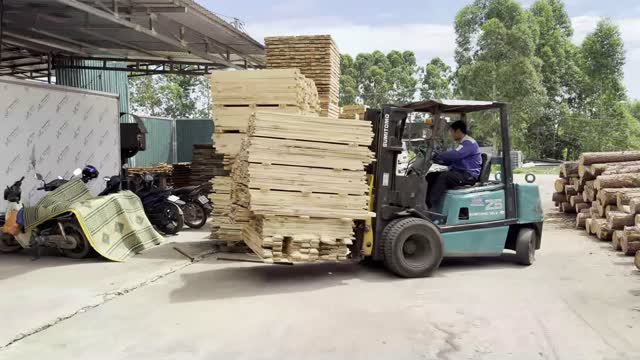 Plank Stacks And Log Piles