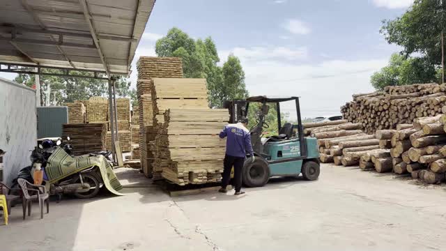 Forklift In Timber Shed