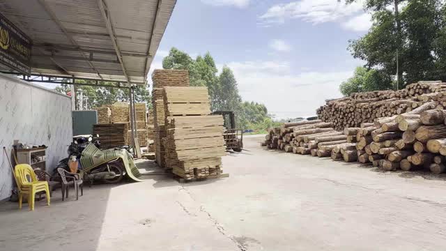 Forklift Loading Sawn Timber