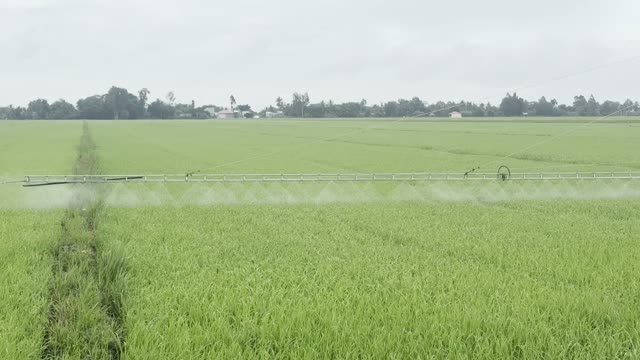 Farmer Spraying Near Village