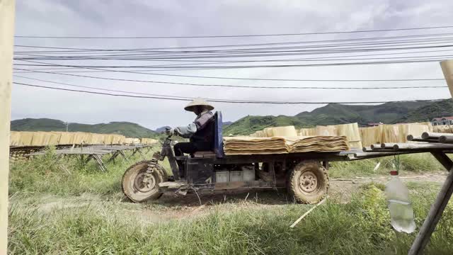 Cart Hauls Veneer Across Field