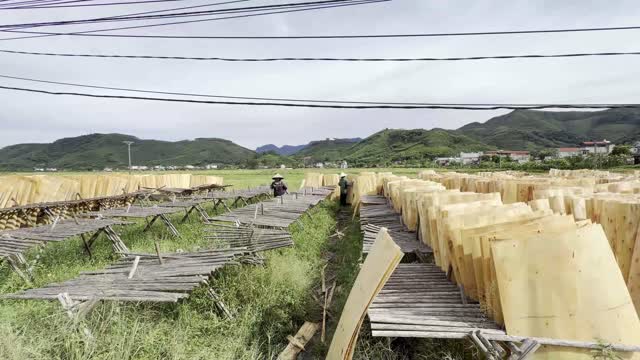 Rural Veneer Drying Field