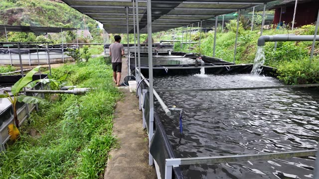 Sturgeon Farm Tanks