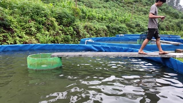 Fish Farm Feed Shed