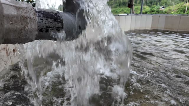 Sturgeon Farm Tanks