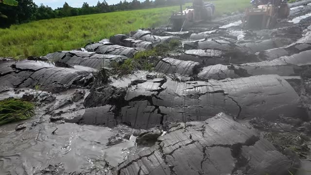 Churned Wet Mud