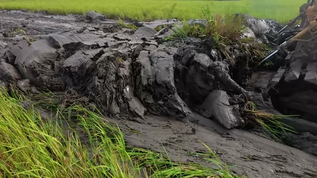 Mud Logs And Grass