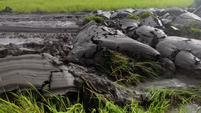 Cracked Mud Logs