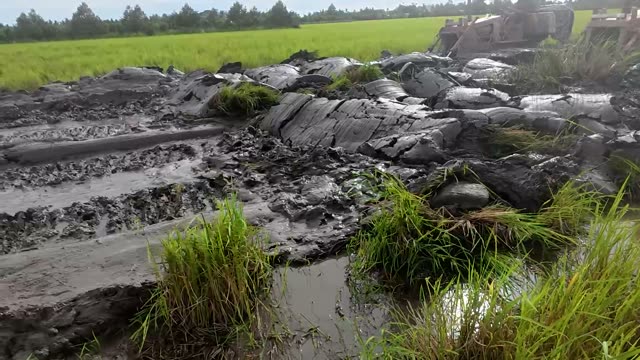 Mud Logs And Puddle