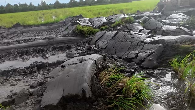 Big Mud Log