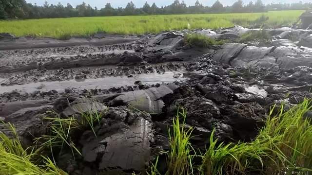 Fresh Mud Ridge