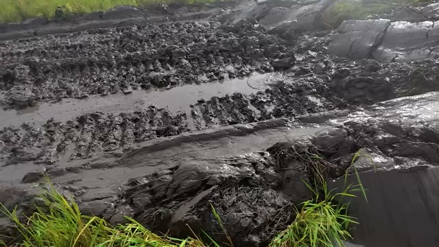 Track Marks In Mud