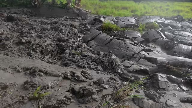 Wet Mud And Grass