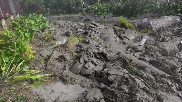 Churned Mud By Shed