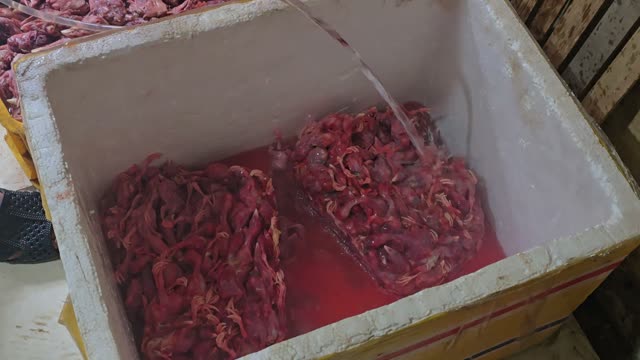 Feed Soaking In Box